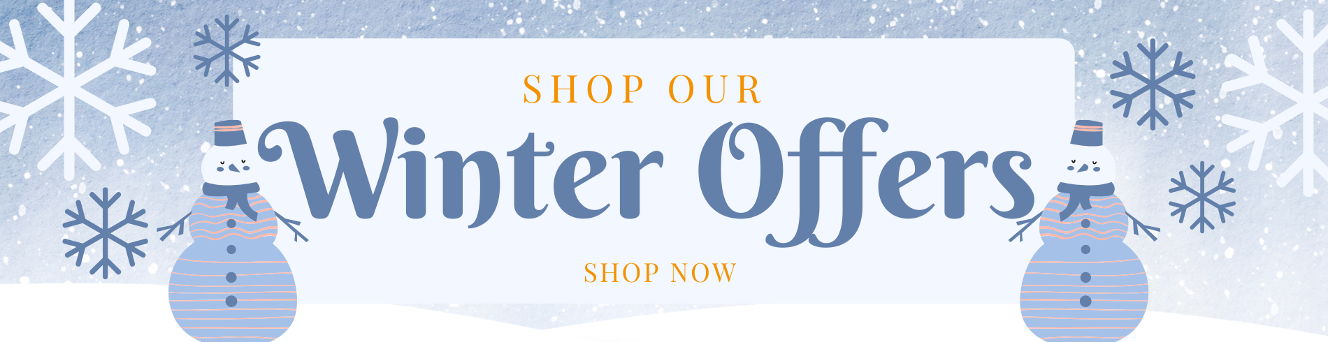 Winter Offers