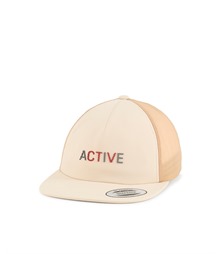 YP Classics unstructured mesh active cap