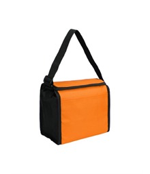 Cooler Bag